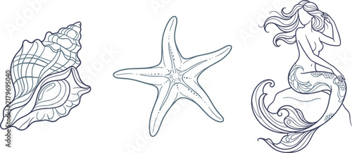 Elegant Hand Drawn Seashell Starfish Mermaid and Marine Life Line Art Collection