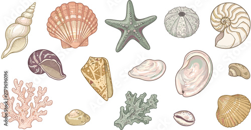 Hand Drawn Pastel Seashell Starfish Coral and Marine Life Illustration Collection