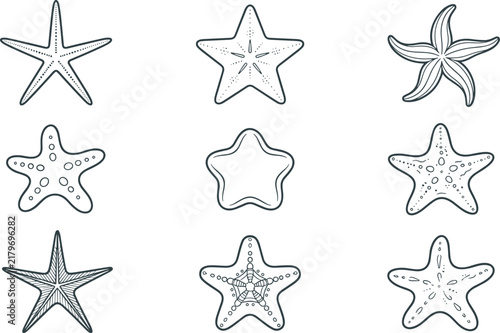 Hand Drawn Starfish Collection with Decorative Ocean Sea Star Line Art Illustrations
