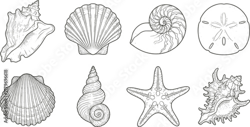 Vintage Hand Drawn Seashell Starfish Sand Dollar and Nautical Marine Illustration Set