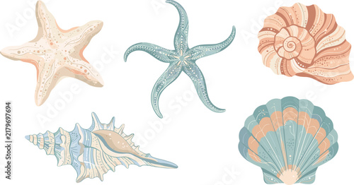 Pastel Hand Drawn Starfish Seashells and Marine Life Coastal Illustration Collection