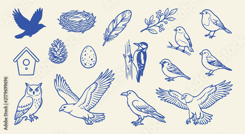 Doodle set of handdrawn bird illustrations including various species, a nest, an egg, a feather, a pinecone, and a birdhouse