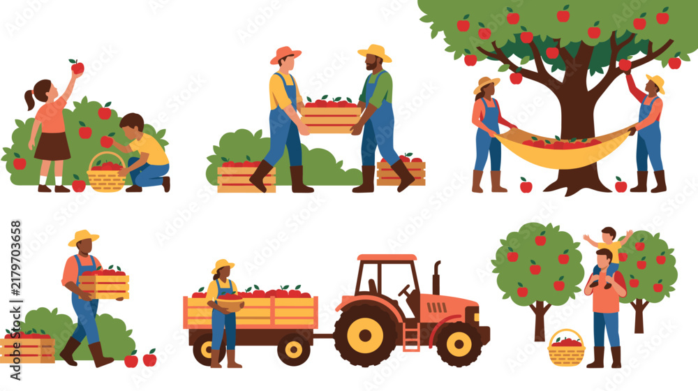 Naklejka premium Seasonal farm workers harvesting ripe red apples from trees in an orchard setting.