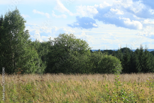 Summer landscape of northeastern Europe, field, green forest, blue sky, clouds on a summer day
