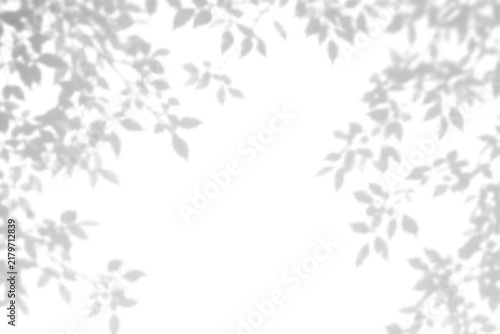 Leaf shadow overlay effect on transparent background. Abstract tree branch shadows vector illustration. Soft blurred plant silhouette for mockups