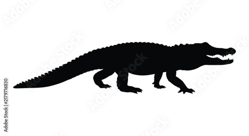 Alligator silhouette against a white background depicts a reptile in profile
