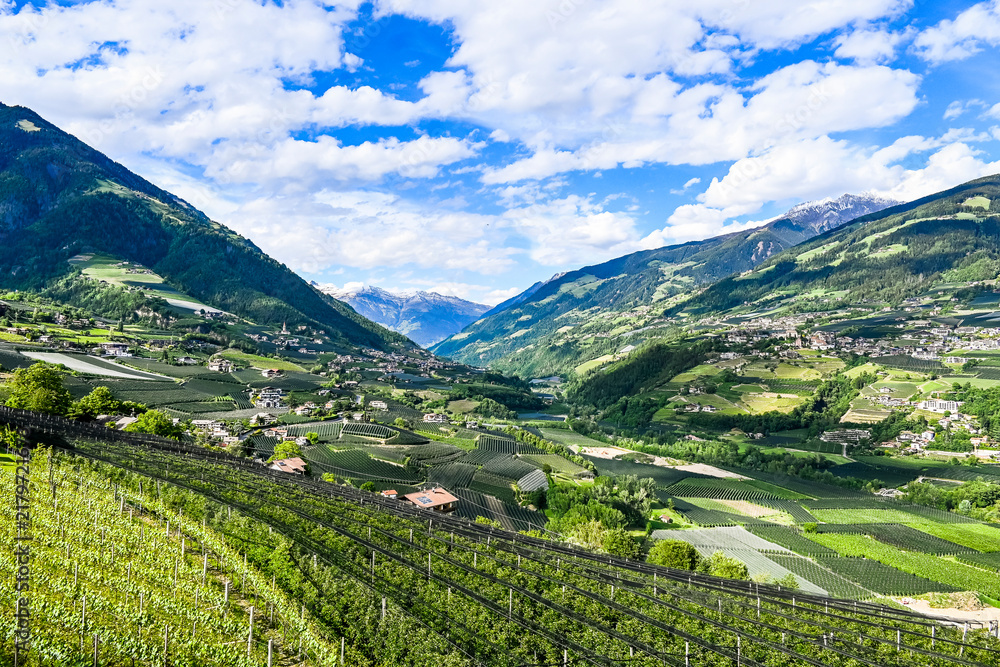 Fototapeta premium Dorf Tirol, Passeier, Fluss, Passeiertal, Vorderpasseier, Hafling, Meran, Weinberge, Obstbäume, Landwirtschaft, Wanderweg, Frühling, Sommer, Südtirol, Italien