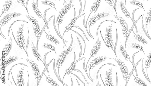 Delicate black and white sketch pattern of wheat stalks and grains creates a natural and organic texture for design use.