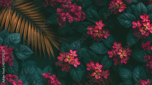 Summer hot vibe lifestyle. A vibrant and detailed depiction of tropical plants and flowers. The main subject is a cluster of bright pink flowers with yellow centers, surrounded by large.