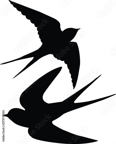 Two flying swallow birds silhouette vector illustration with swallow bird