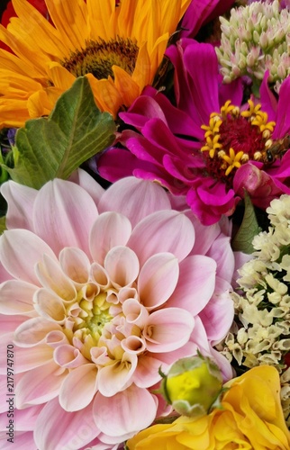 colorful bouquet of summer flowers 
Flower wall background
yellow sunflower, pink zinnia, pale rose and red dahlia