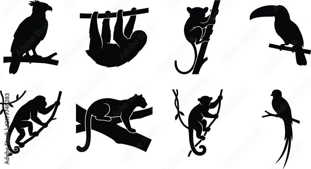 Fototapeta premium Tropical rainforest animals black vector silhouette set featuring monkey, toucan, sloth, and panther on tree branches