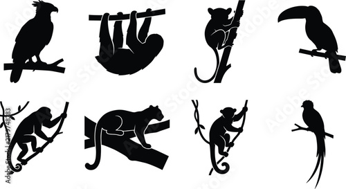 Tropical rainforest animals black vector silhouette set featuring monkey, toucan, sloth, and panther on tree branches