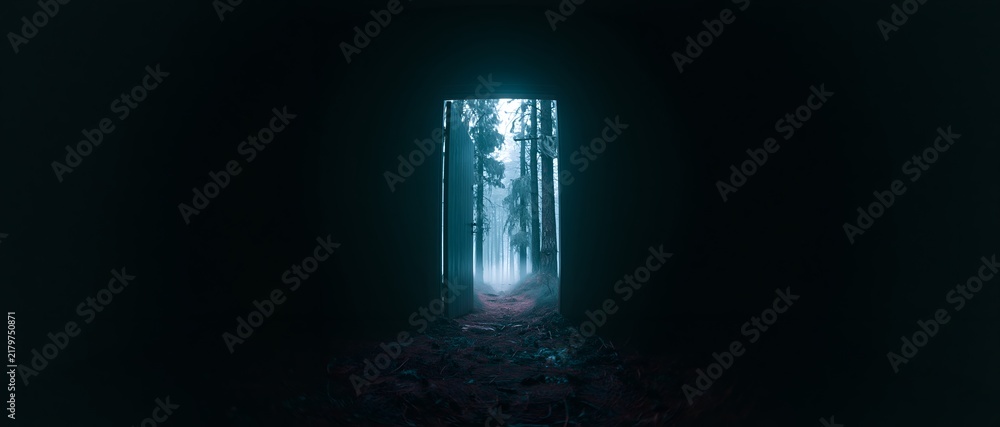 Obraz premium Vertical glowing portal reveals a misty forest at night