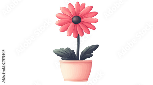 Pink Daisy in a Pot: A beautiful pink daisy with a dark center blooms vibrantly in a simple pot, its delicate petals unfurling towards an unseen light, bringing a touch of natural beauty indoors.