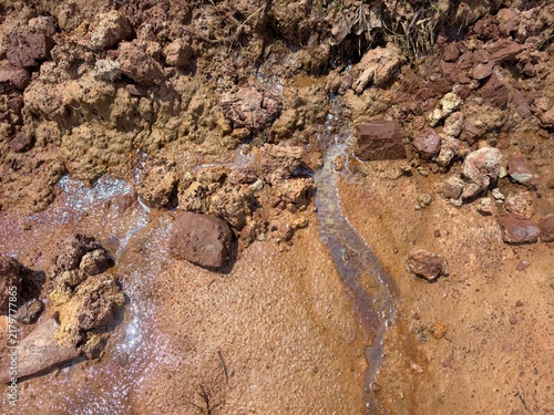 soil layer section of acid soil.