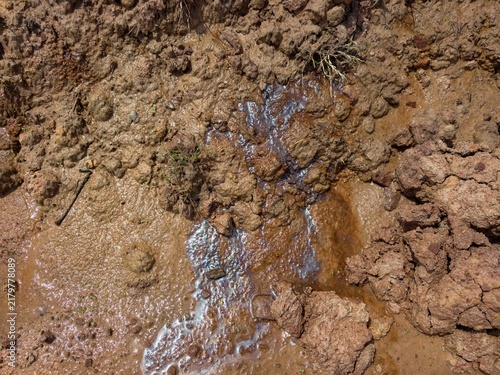 soil layer section of acid soil.