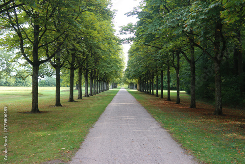 Fuß- und Radweg durch eine lange Allee in einem Park