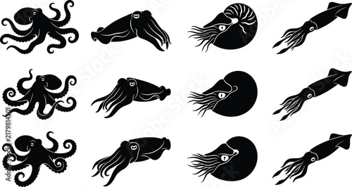 Bild auf Leinwand Set of black silhouette marine cephalopod icons featuring octopus, cuttlefish, nautilus, and squid isolated on white background