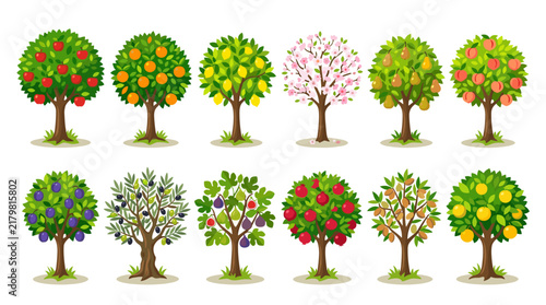 Collection of fruit trees flat vector illustration featuring various orchard plants with apples oranges lemons pears peaches and plums isolated on white background
