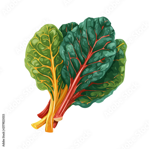 Chard, clean 2D vector flat illustration in minimal and modern style on a white background.