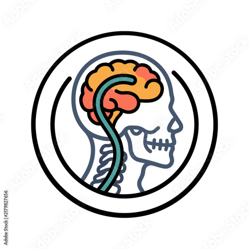 Принти на полотні Hydrocephalus Shunt Tube X-Ray Icon for Neurosurgery