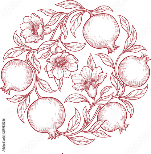 Hand drawn pomegranate fruit and flowers circular vintage botanical illustration