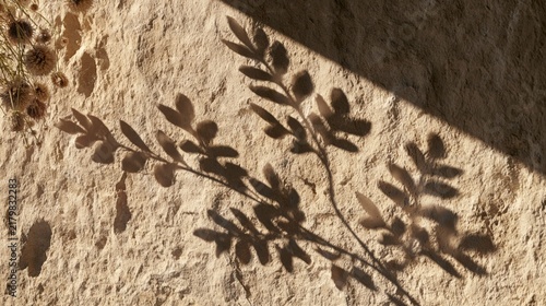 Translucent botanical shadows cast across warm textured stone surface in soft natural light