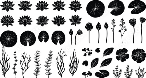 Botanical Water Lily Lotus and Floral Silhouettes Collection Design Elements