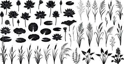 Botanical Lotus Lily Pad Grass and Floral Silhouettes Collection Design