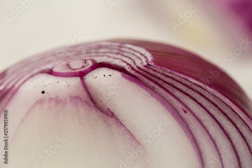 Bio Zwiebeln rot