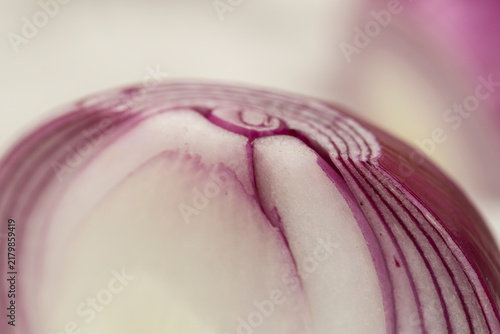 Bio Zwiebeln rot