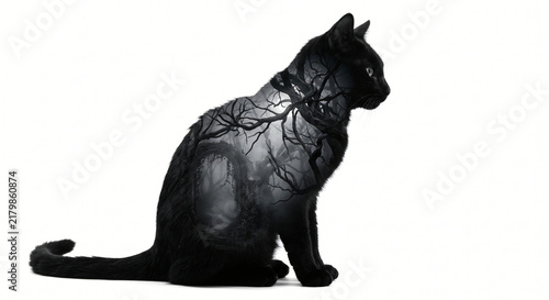 Cinematic double exposure of a black cat silhouette and a dark misty forest