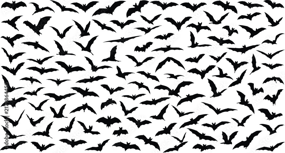 Fototapeta premium Black bat silhouettes collection, flying bats vector set for Halloween decor, spooky nocturnal animal icons on white background