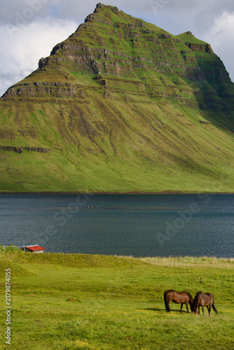 Kirkufell Mountain, Farmstead and Icelandic Horses Snæfellsnes Peninsula Western Iceland