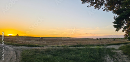 Round hay bales on harvested countryside field at golden sunset with dirt road path