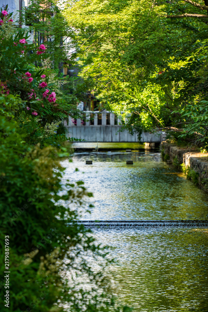 Obraz premium bridge over the river in kyoto japan in lush summer weather and greenery