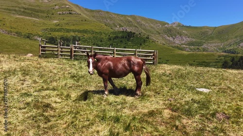 A chestnut brown horse grazes on a green alpine meadow in Andorra, with a wooden fence, lush mountain slopes and clear blue sky in the background
