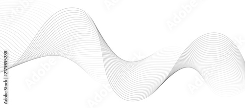 Foto Abstract Smooth Gray Wavy Line Vector Background, Minimalist Thin Blend Lines Dy