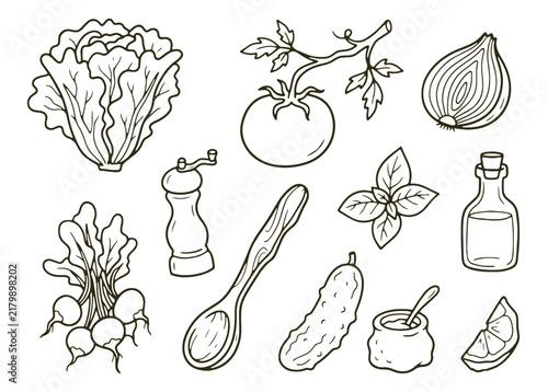 Fresh vegetable and salad ingredient doodles with lettuce, tomato, onion, radish, cucumber, basil and olive oil