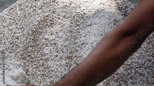 Indian Farmer Hand Mixing Granular Chemical Fertilizer Pellets for Field Crop Application Close Up. Mixing White Chemical Fertilizer Granules for Farmland Soil Improvement.