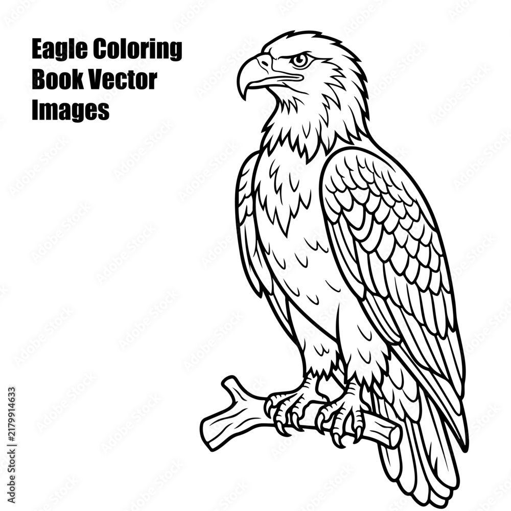 Fototapeta premium Eagles Coloring Vector