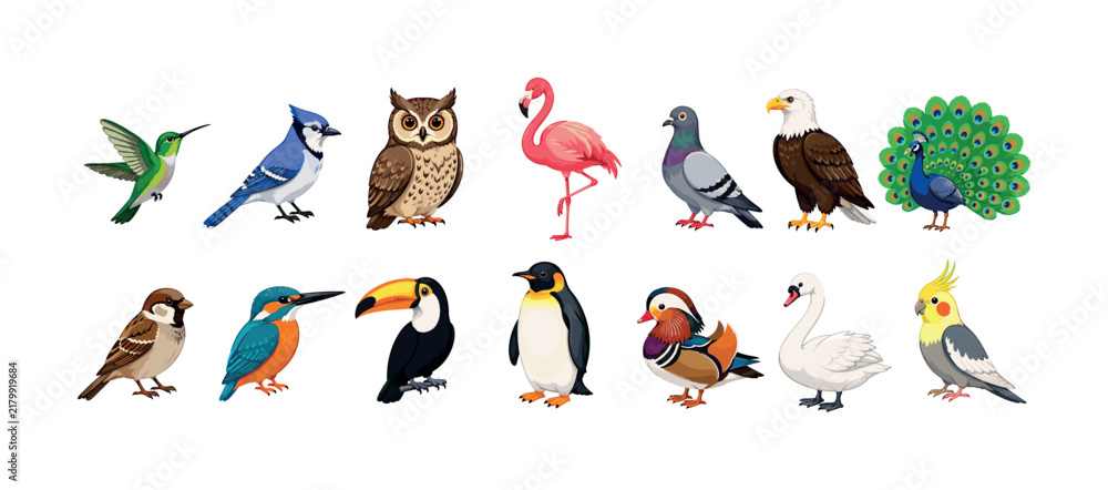 Obraz premium Collection of diverse bird species illustrated in a clean, modern style