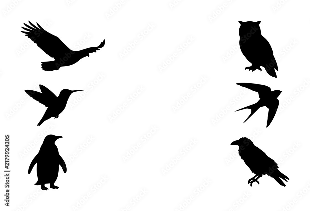 Fototapeta premium Diverse Bird Silhouettes Collection: Eagle, Hummingbird, Penguin, Owl, Swallow, Raven Vector Icons