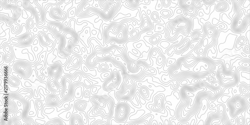 Topographic map contour lines form an abstract, organic pattern on a clean white background, suggesting geological formations and elevation changes in a minimalist style.