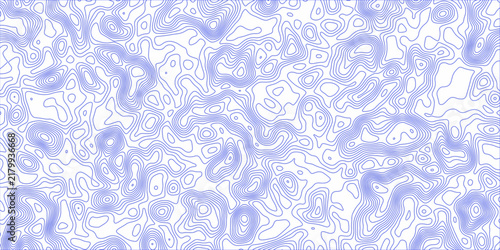 A stylized topographic map featuring abstract, flowing contour lines in a soft blue hue against a clean white background, suggesting geographical exploration or intricate patterns.