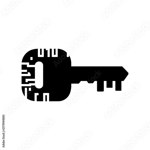 Black silhouette of a key with digital binary code pattern