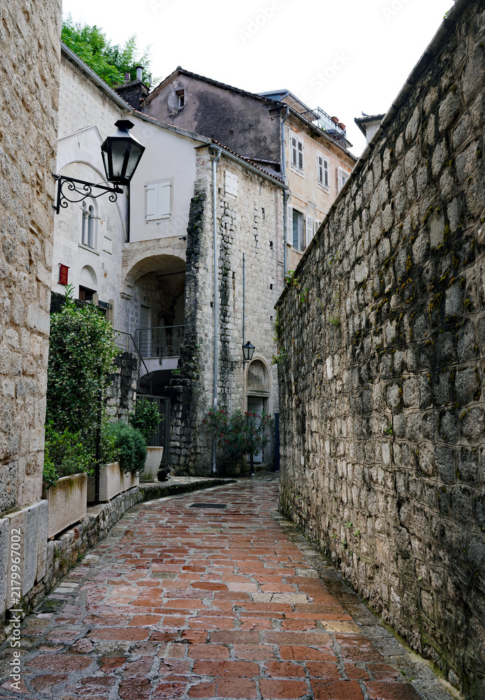 Fototapeta premium A narrow wet cobblestone alleyway bordered by historic stone walls and traditional residential buildings winds through the old town of Kotor, Montenegro
