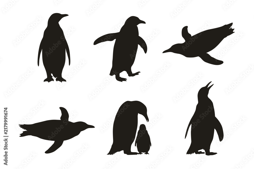 Obraz premium Set of six black silhouettes of penguins in various poses, including standing, swimming, and a parent with a chick, isolated on a white background