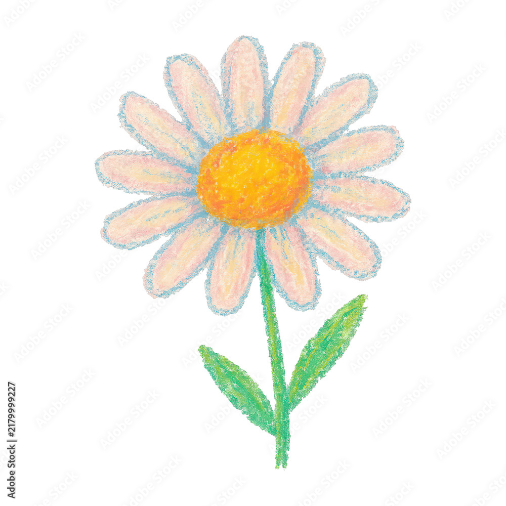 Obraz premium PNG Colorful crayon daisy illustration.